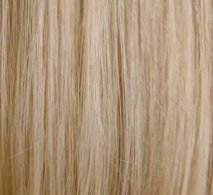 Belbonita Highlight Low Light Warm