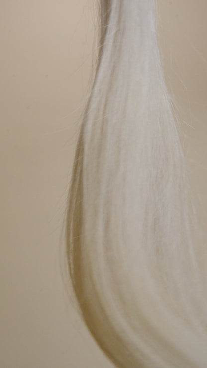 #10-1-Belbonita Platinum Blonde Cool